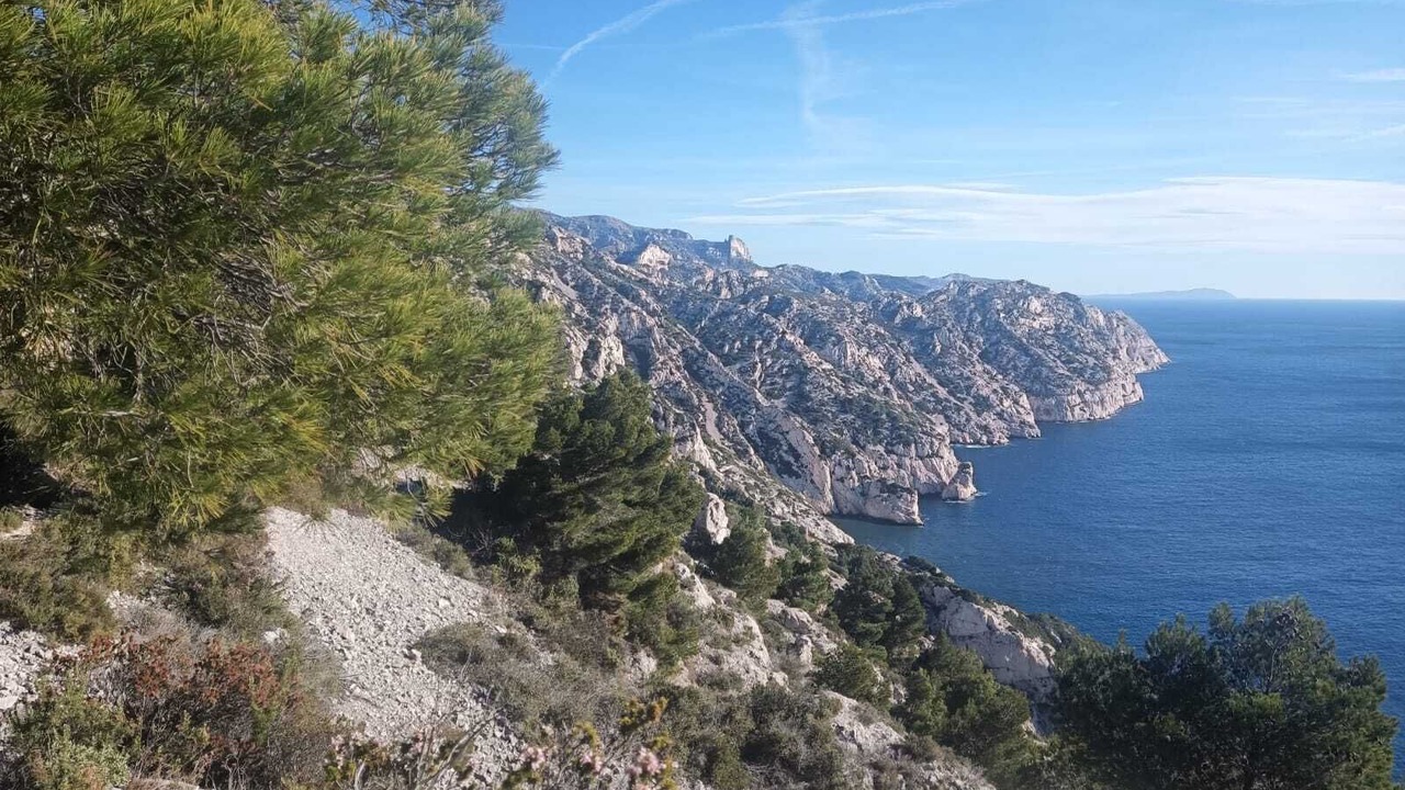 Photo of Others in Les Baumettes
