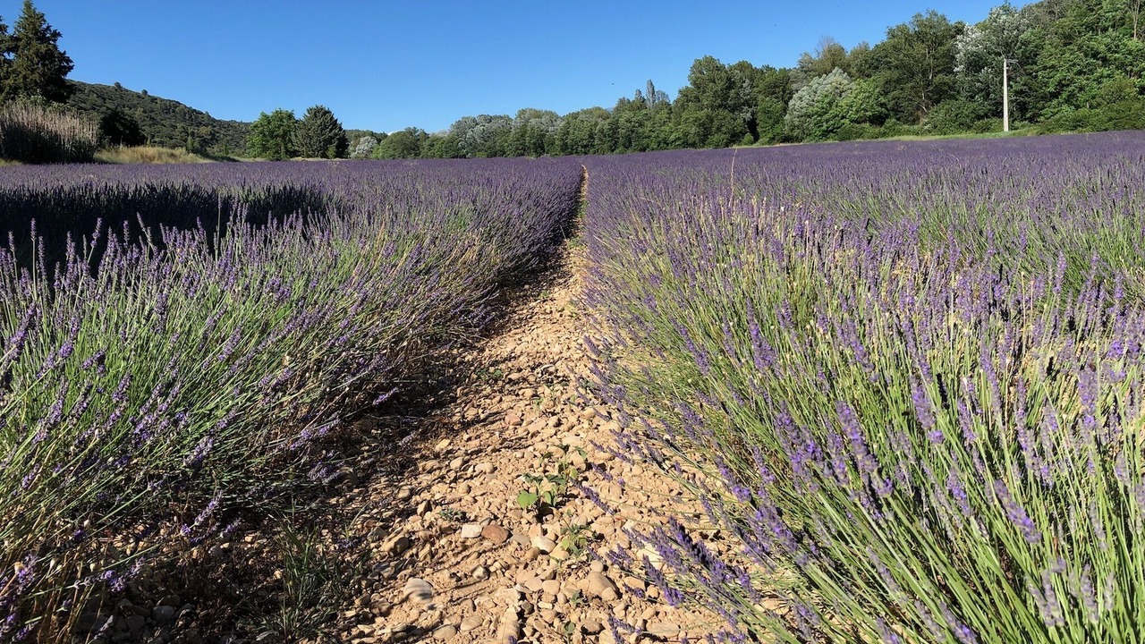 Photo of Outdoor in Allemagne-en-Provence