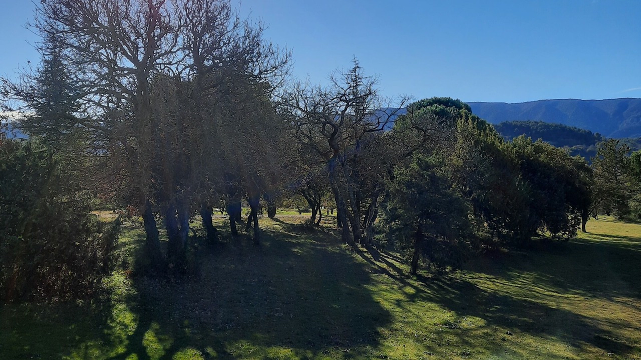 Photo of Outdoor in Menerbes