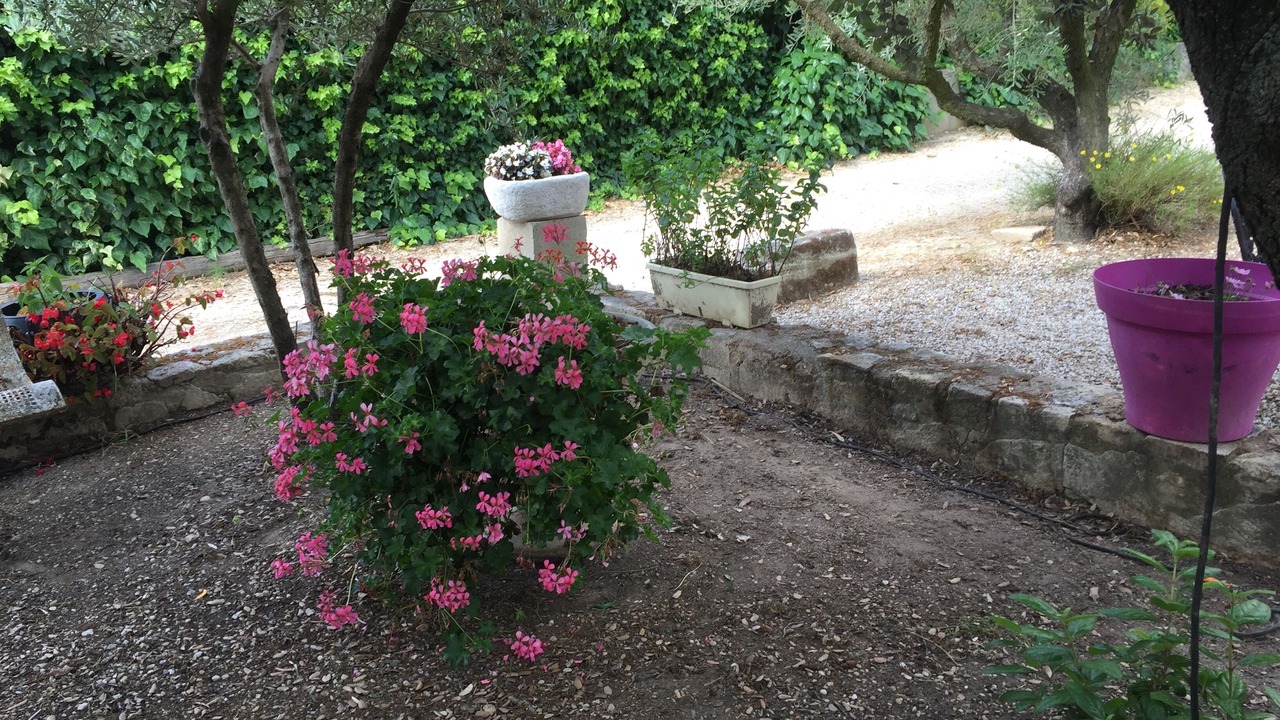 Photo of Outdoor in Comps
