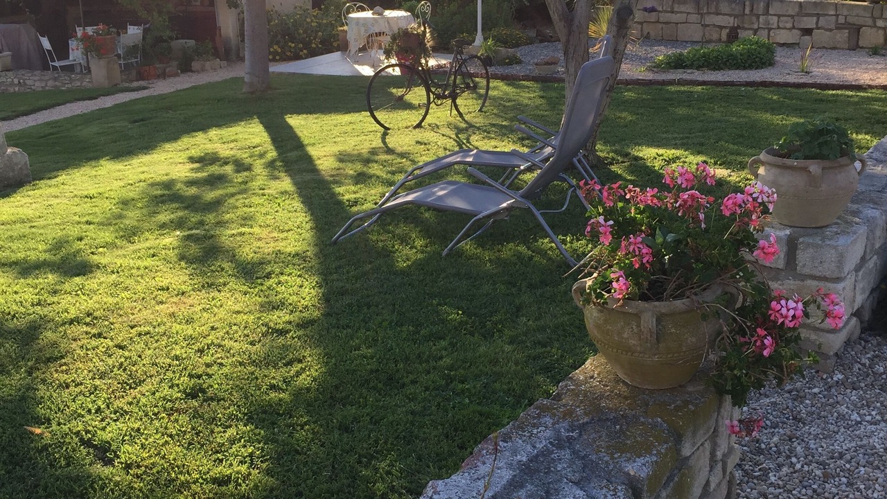 Photo of Outdoor in Comps