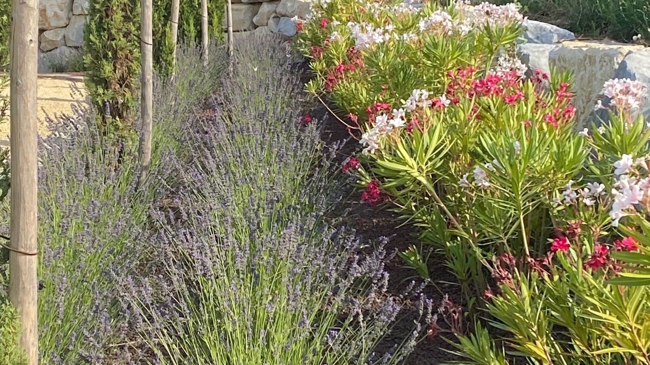 Photo of Outdoor in Villedieu