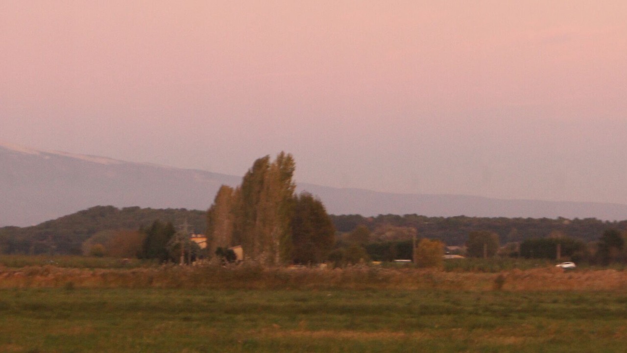 Photo of Outdoor in Monteux