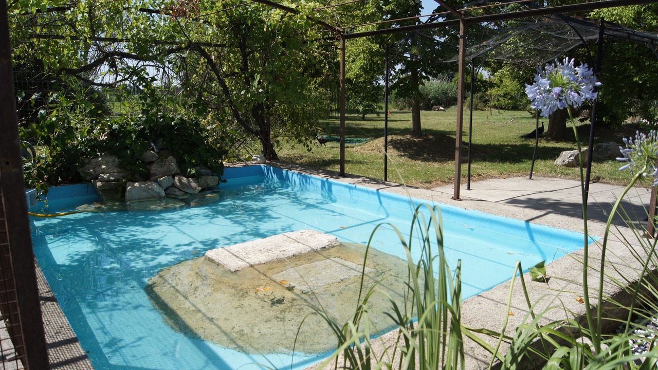 Photo of Outdoor in Monteux