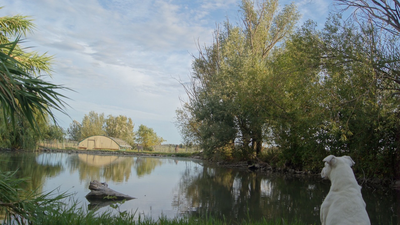 Photo of Outdoor in Monteux