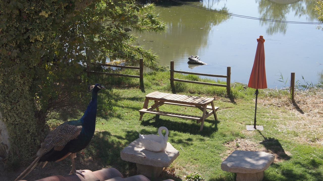Photo of Outdoor in Monteux