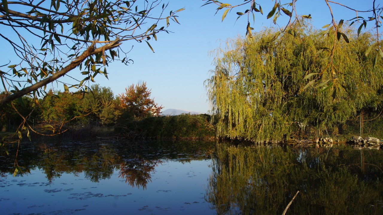 Photo of Outdoor in Monteux