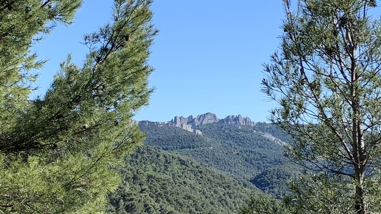 Photo of Others in Seguret