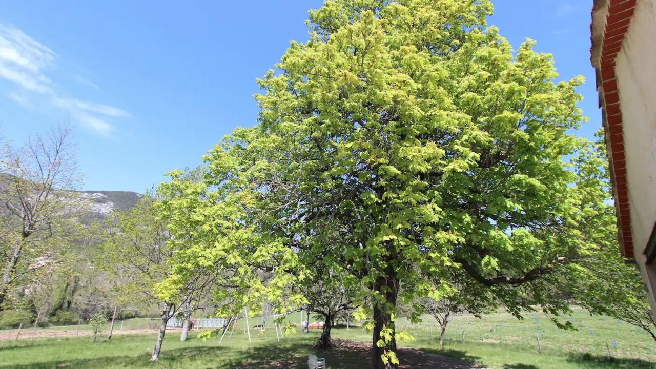 Photo of Outdoor in La Palud-sur-Verdon