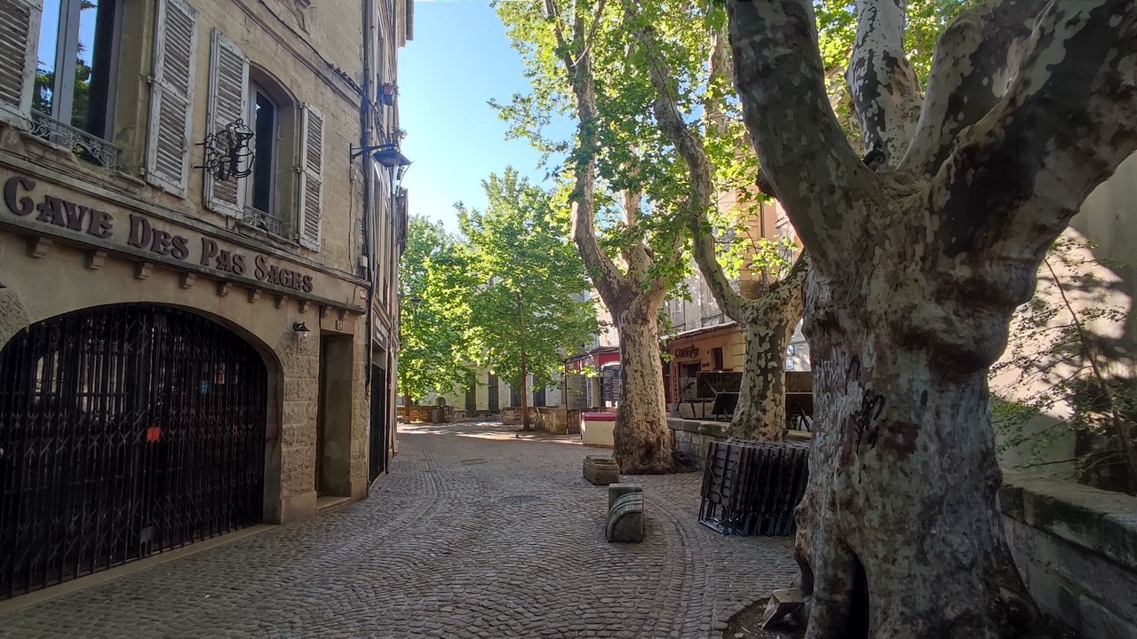 Photo of Outdoor in Sauveterre