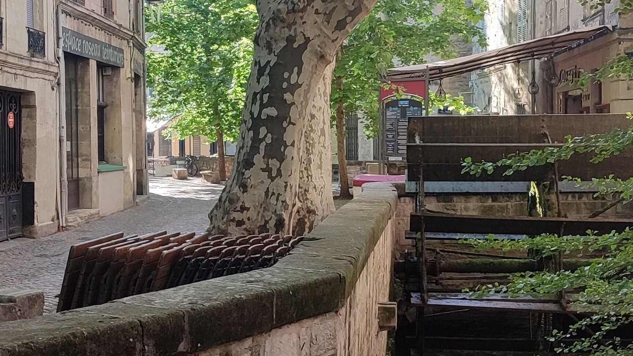 Photo of Outdoor in Sauveterre