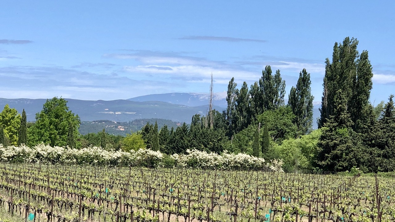 Photo of Outdoor in Bonnieux