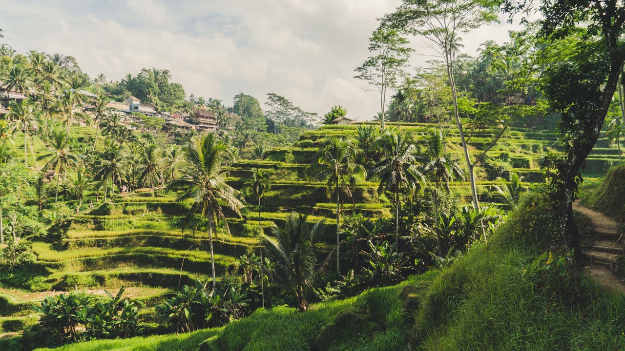 Photo of Outdoor in Ketewel