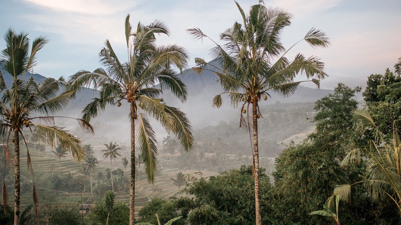 Photo of Outdoor in Ketewel