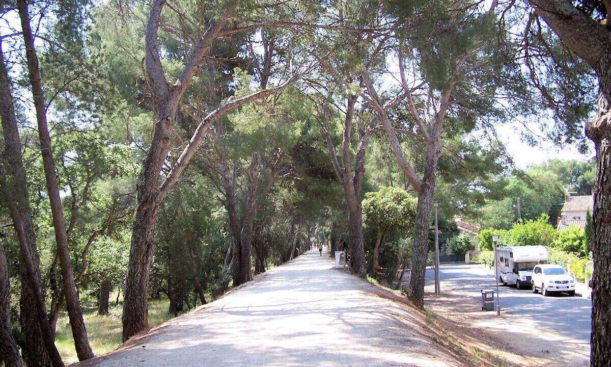 Photo of Outdoor in La Londe-les-Maures