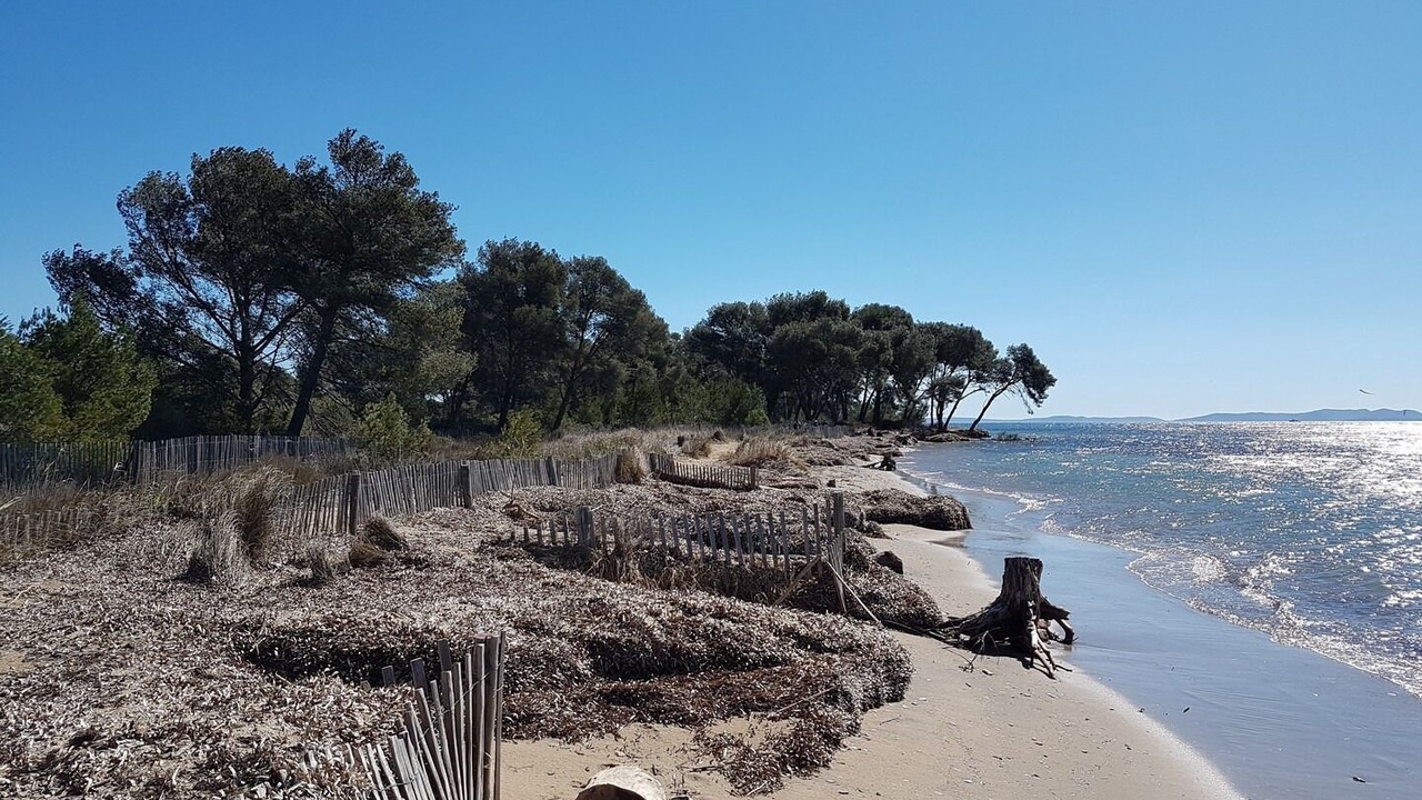 Photo of Others in La Londe-les-Maures