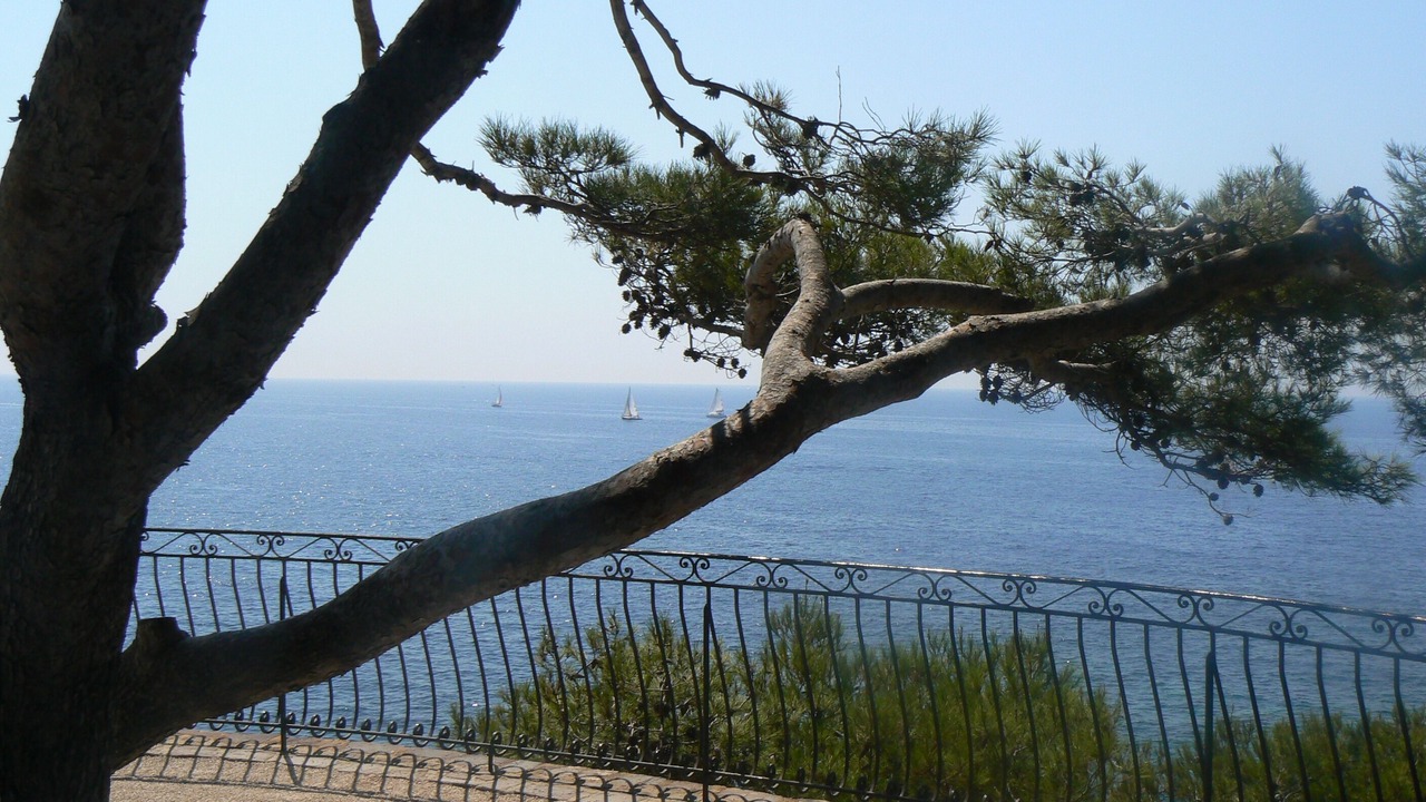 Photo of Patio Balcony in La Valette-du-Var