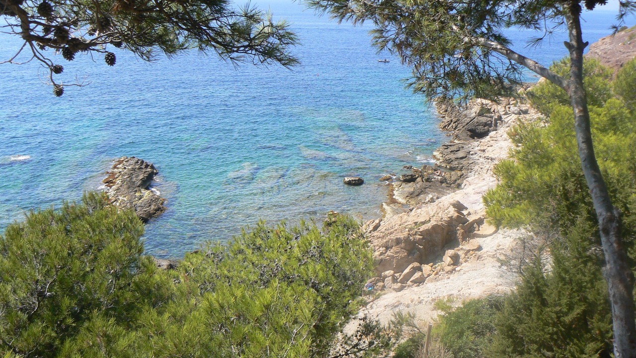 Photo of Others in La Valette-du-Var