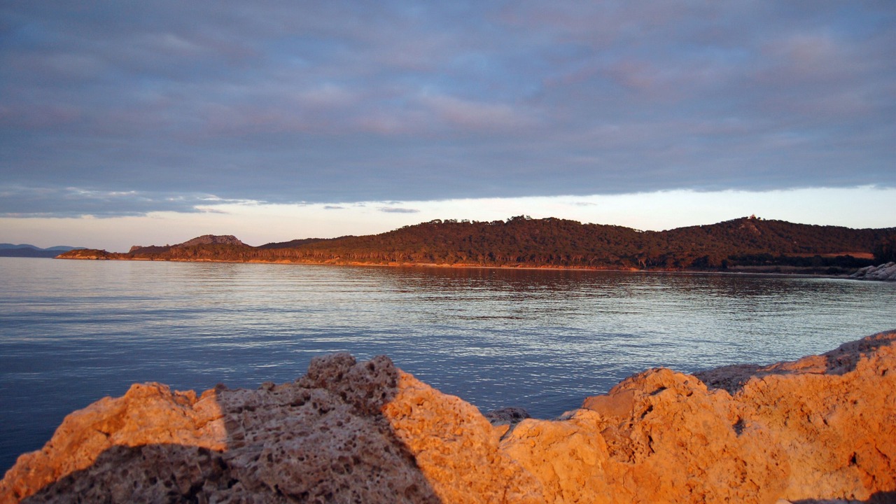 Photo of Others in La Valette-du-Var