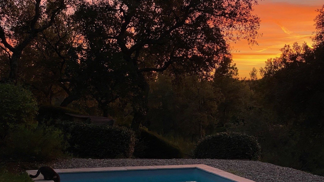Photo of Outdoor in La Londe-les-Maures