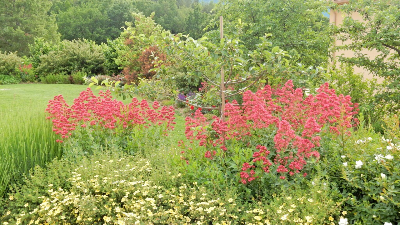 Photo of Outdoor in Montbrun-les-Bains