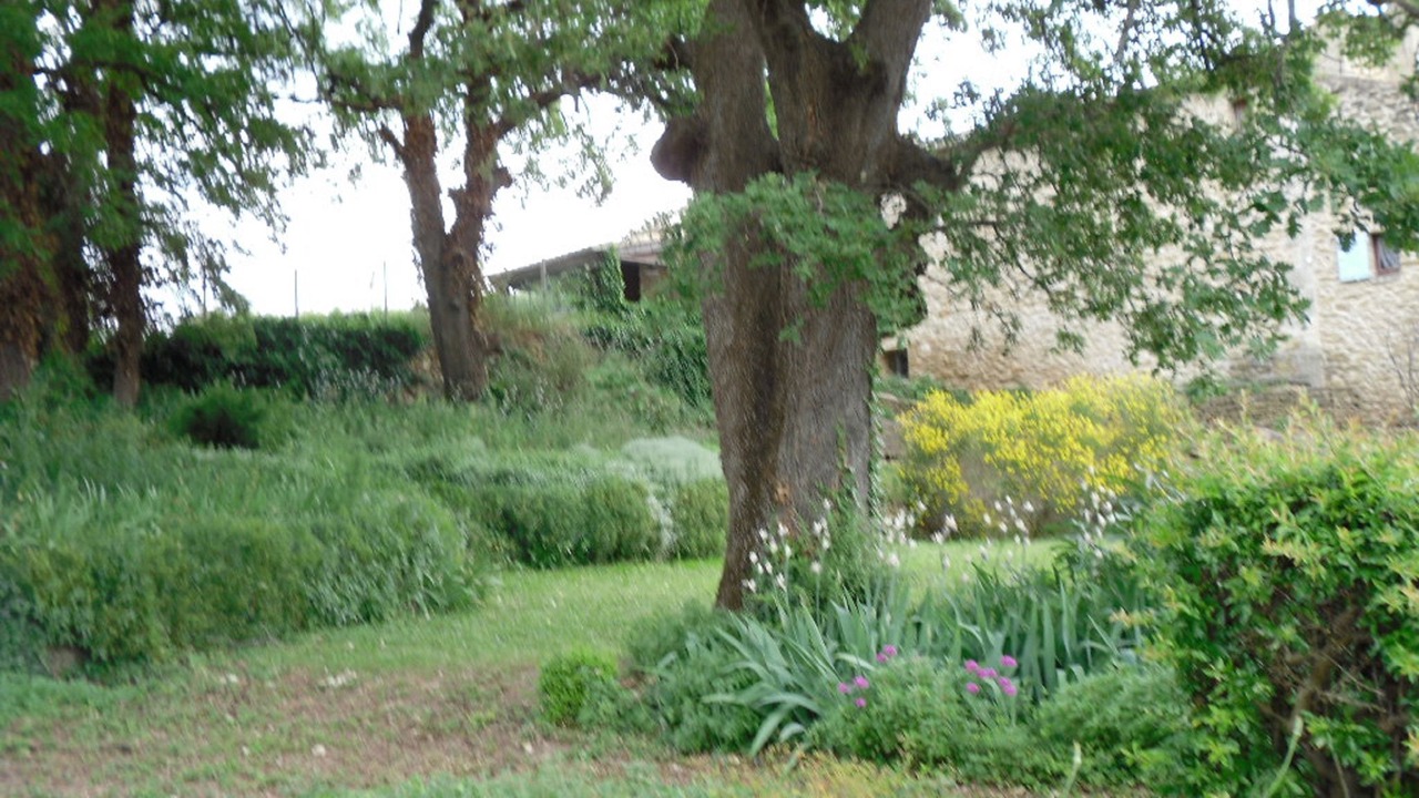 Photo of Outdoor in Oppede
