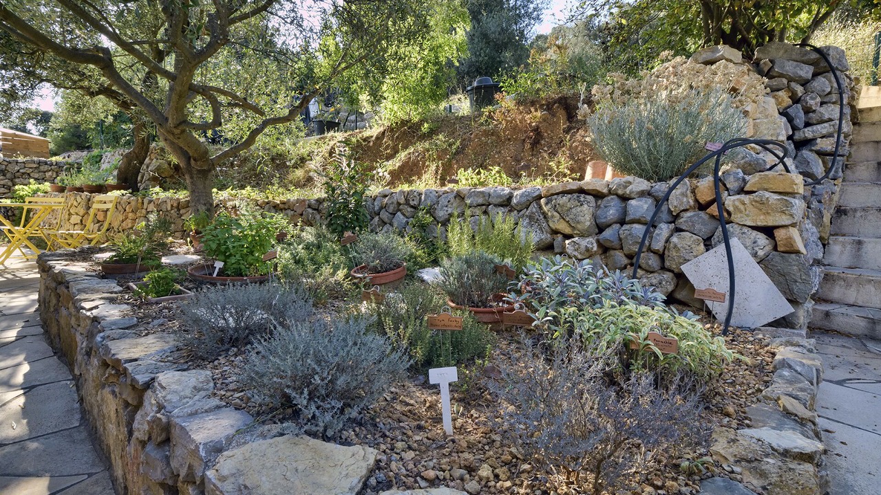 Photo of Outdoor in Lorgues