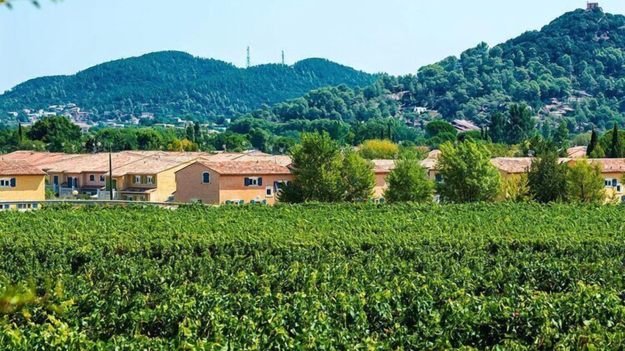 Photo of Others in Vidauban