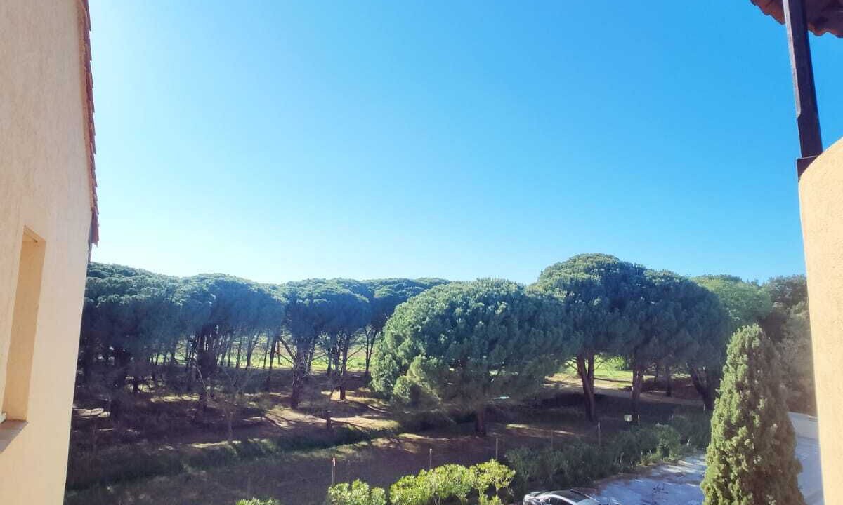 Photo of Outdoor in Miramar