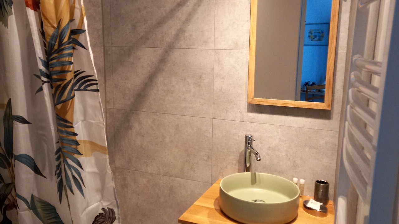 Photo of Bathroom in Venterol