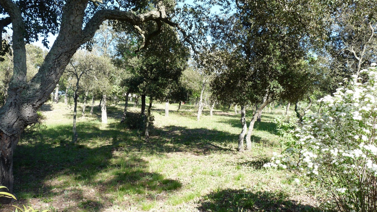 Photo of Outdoor in Les Brugassieres