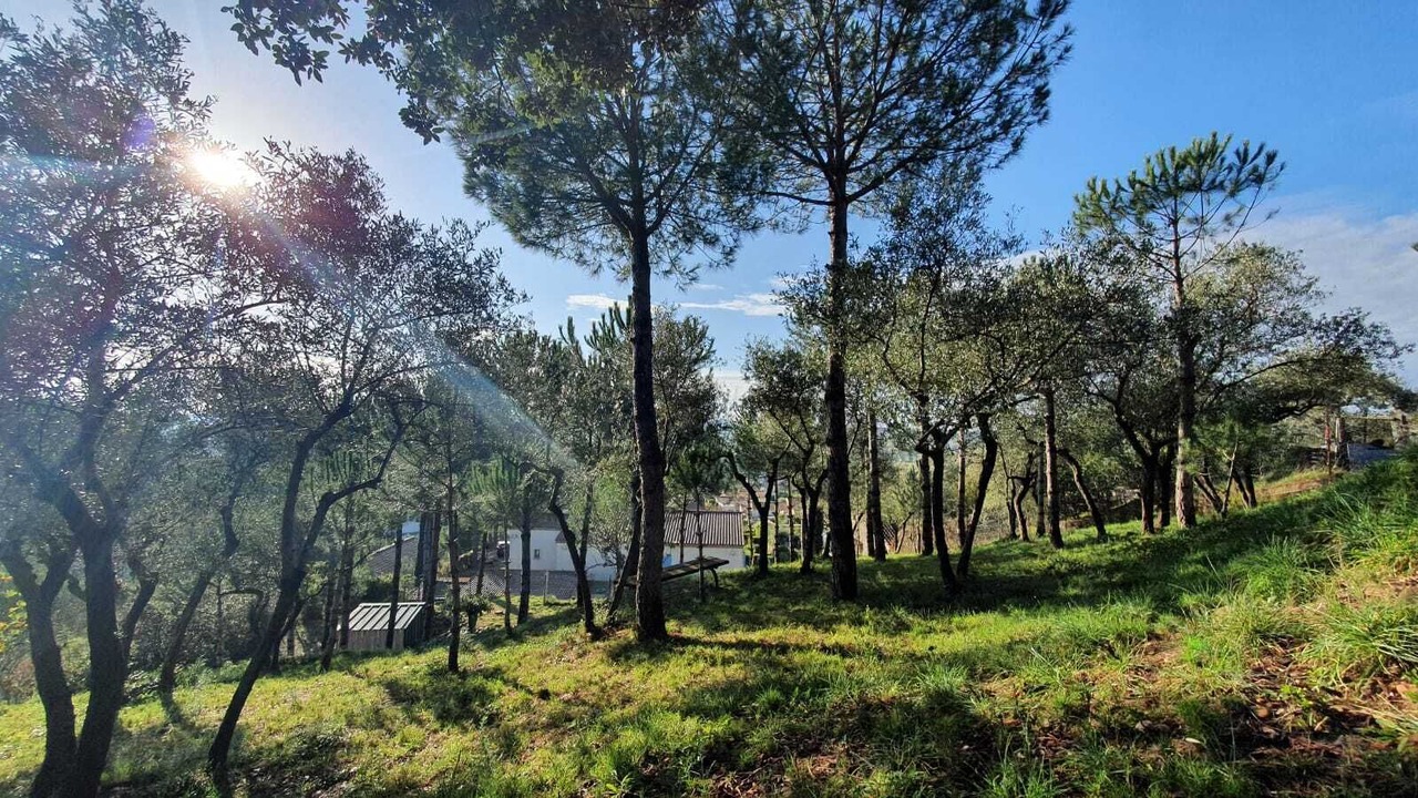 Photo of Outdoor in Montfrin