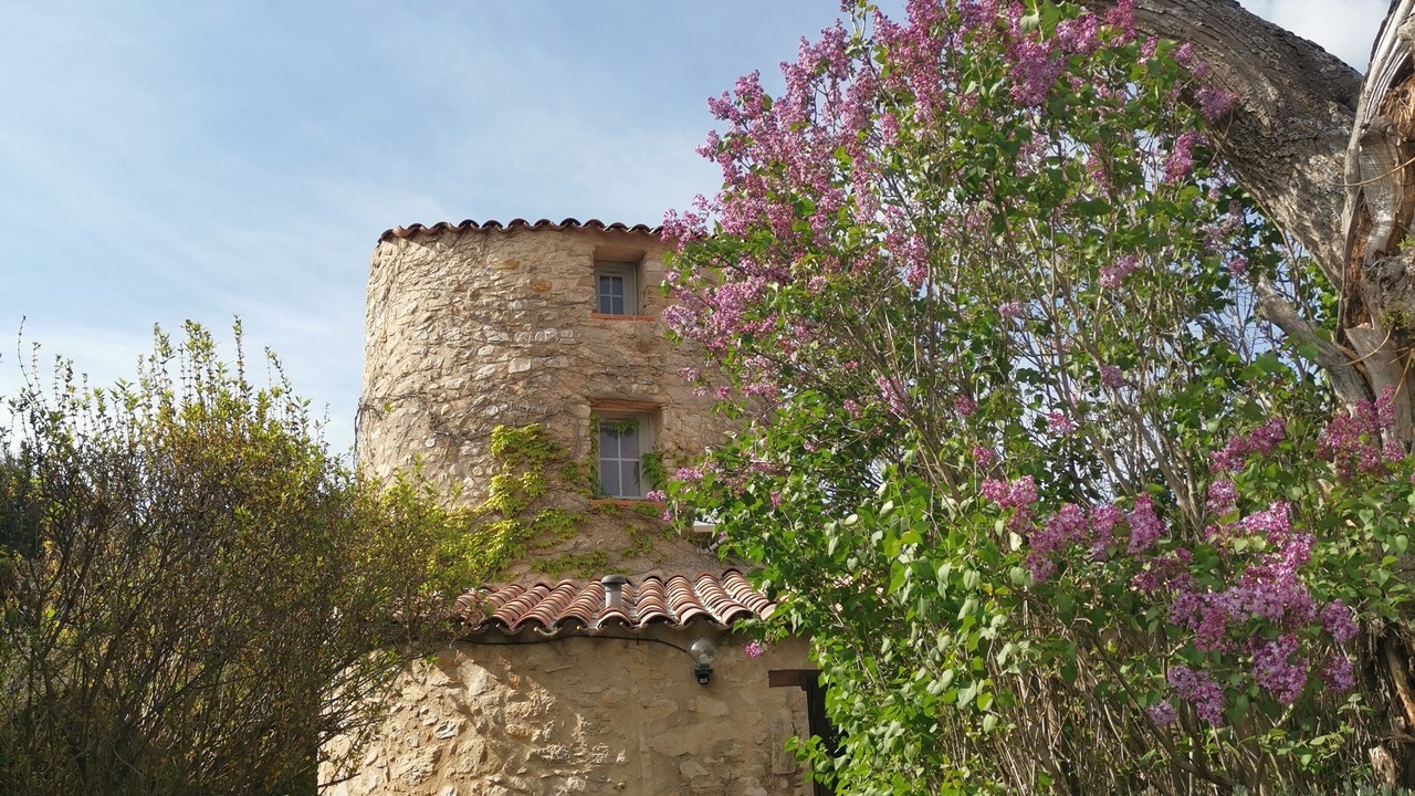 Photo of Outdoor in La Bastide-des-Jourdans