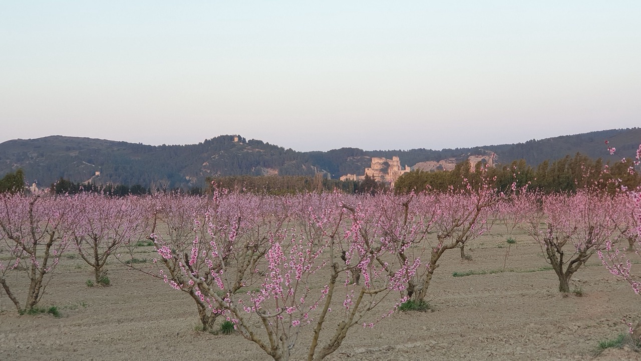 Photo of Outdoor in Boulbon