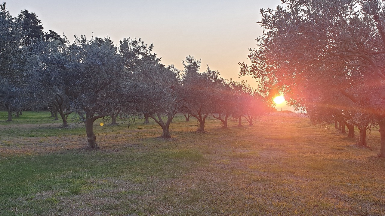Photo of Outdoor in Boulbon