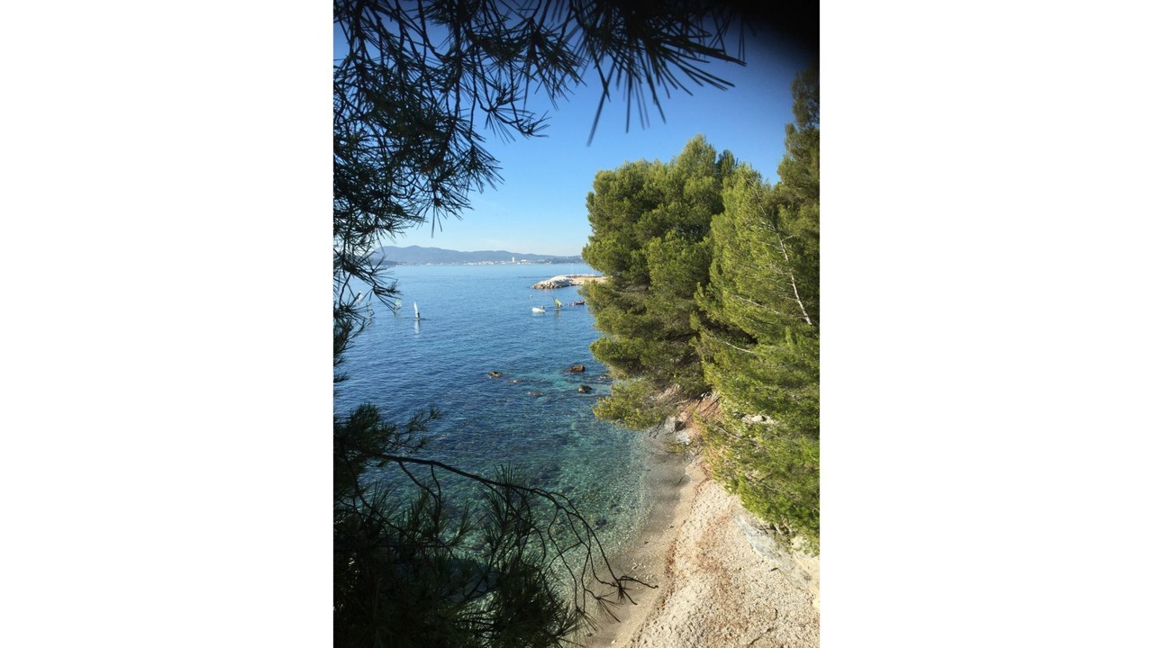Photo of Others in Le Mourillon