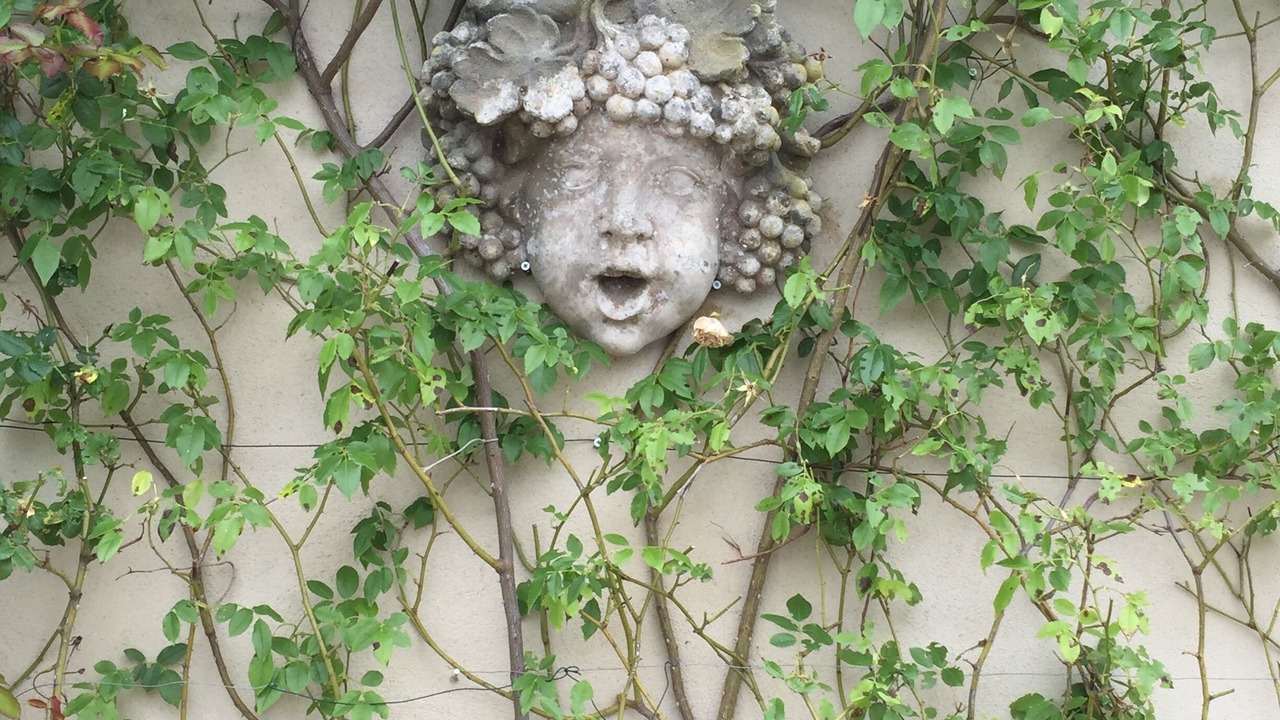Photo of Outdoor in Menerbes