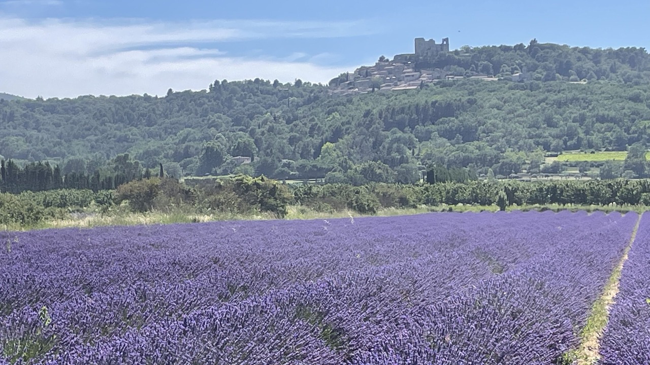 Photo of Others in Bonnieux