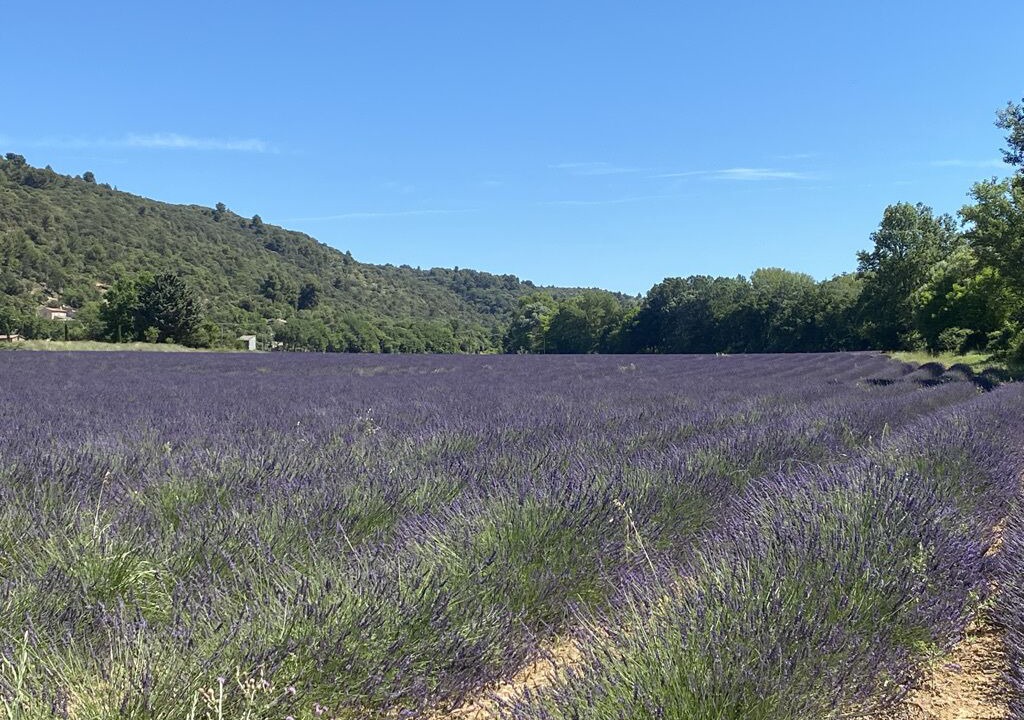 Photo of Others in Allemagne-en-Provence