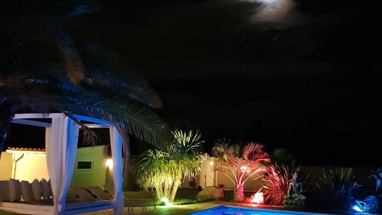 Photo of Outdoor in Orange