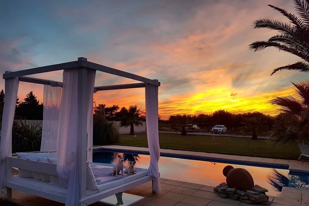 Photo of Outdoor in Orange