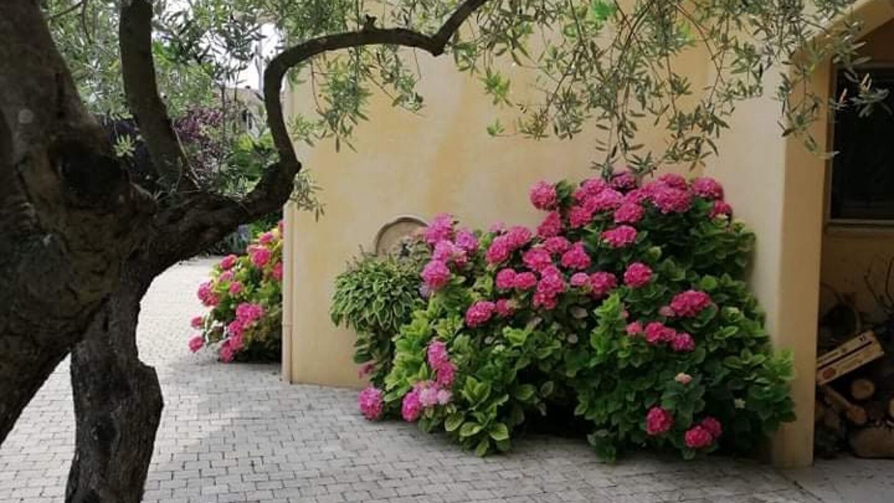 Photo of Outdoor in Manosque