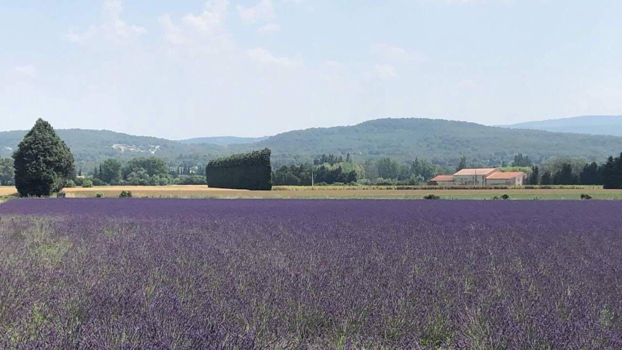 Photo of Outdoor in Velleron