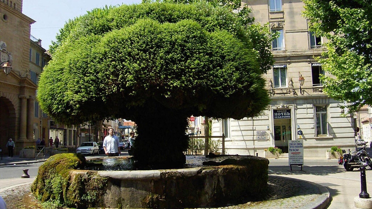 Photo of Outdoor in Salon-de-Provence