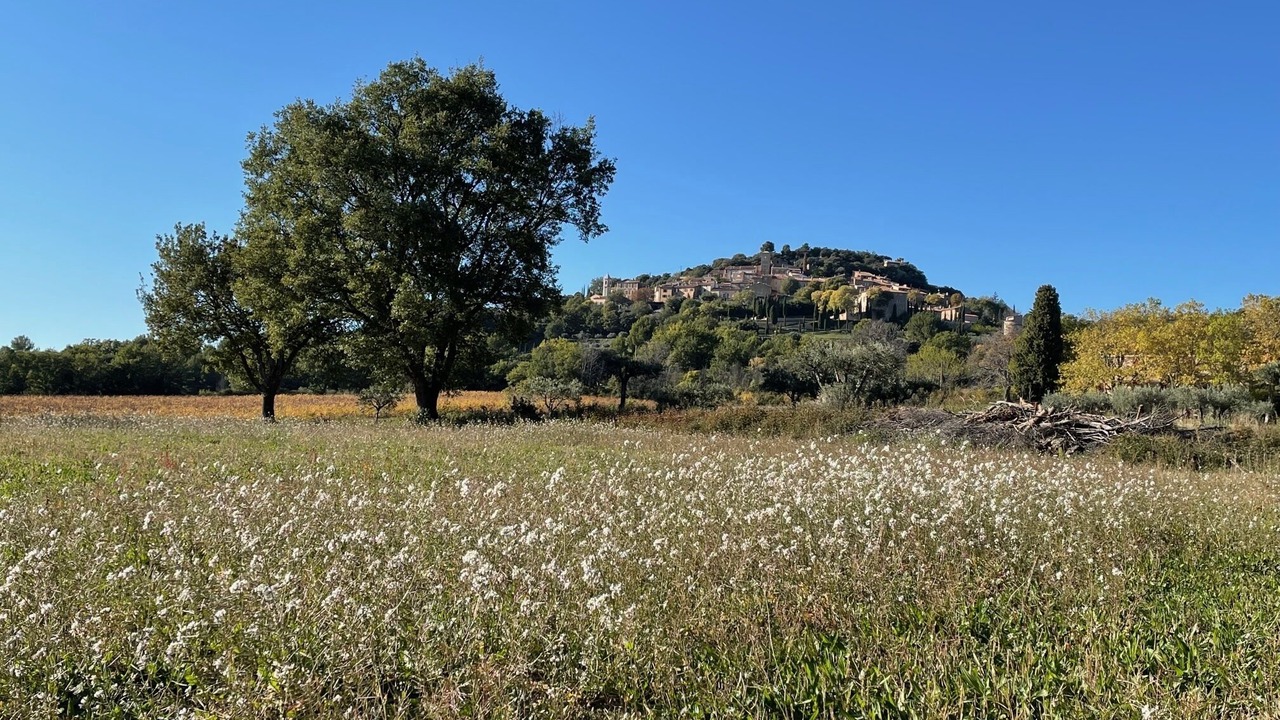 Photo of Outdoor in Moissac-Bellevue