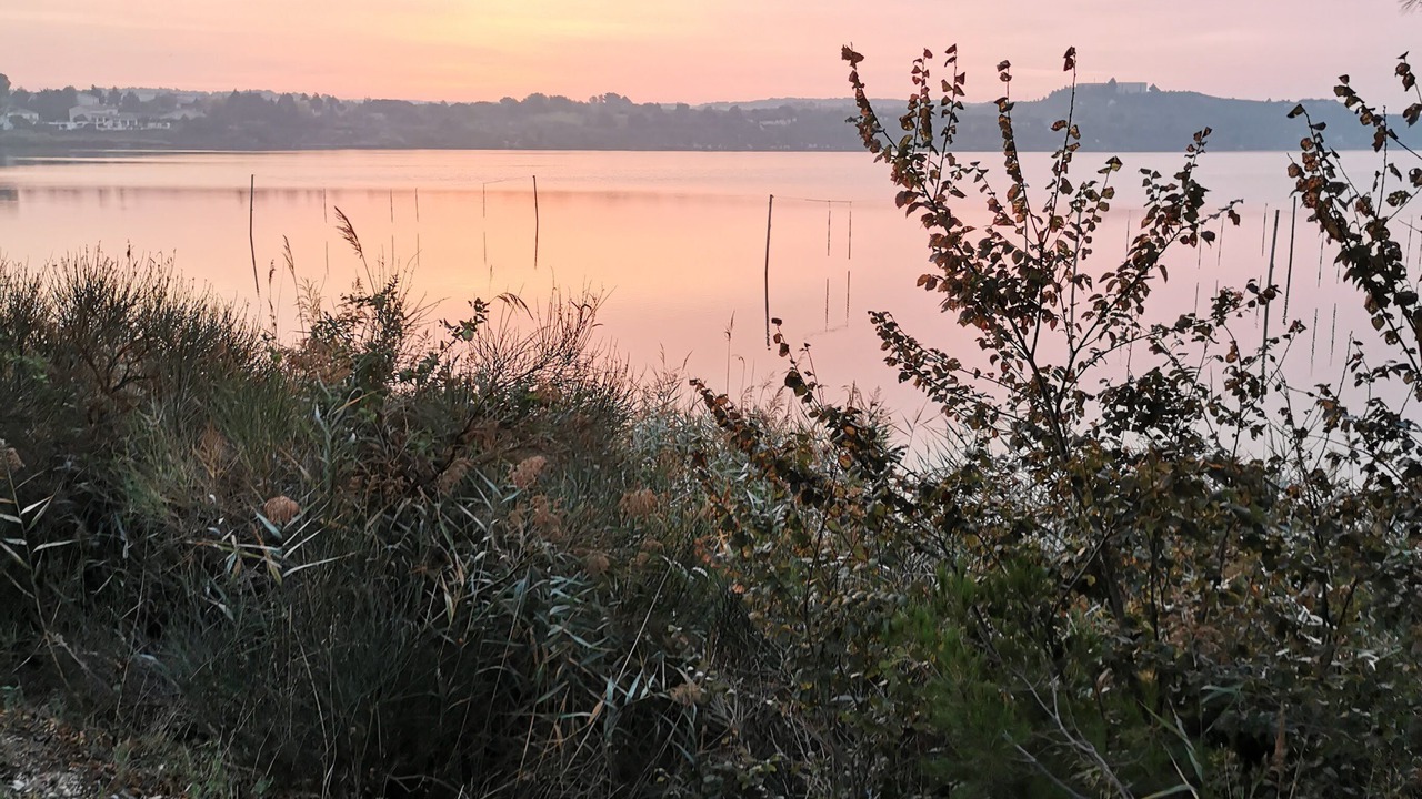 Photo of Others in Fos-sur-Mer