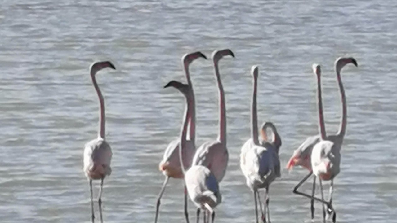 Photo of Others in Fos-sur-Mer
