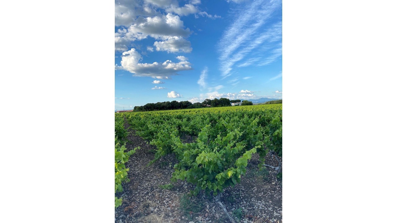 Photo of Outdoor in Bouchet
