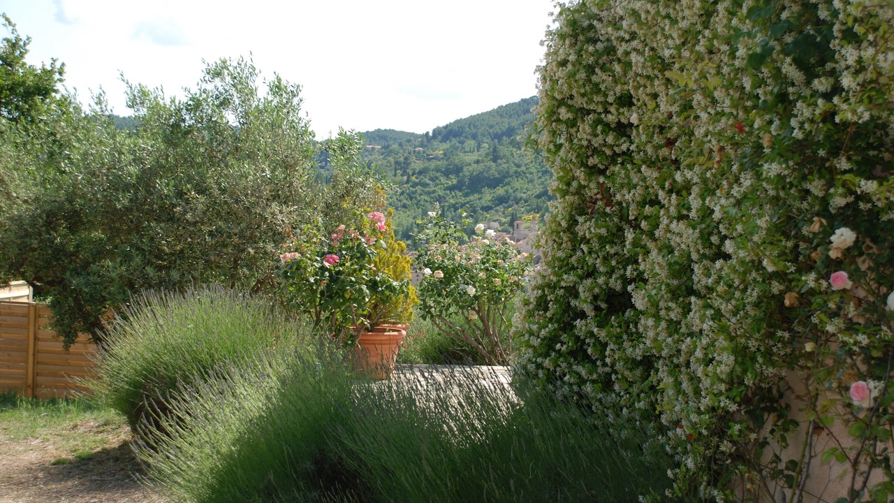 Photo of Outdoor in Seillans