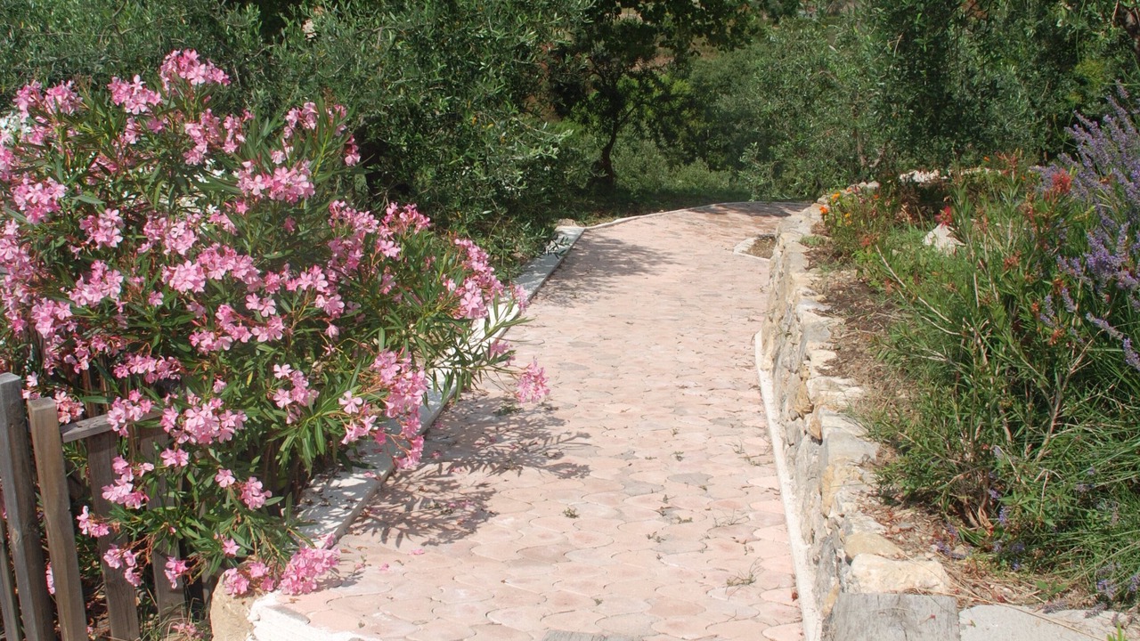 Photo of Outdoor in Seillans
